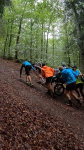Trail Joelette Infernam (36)