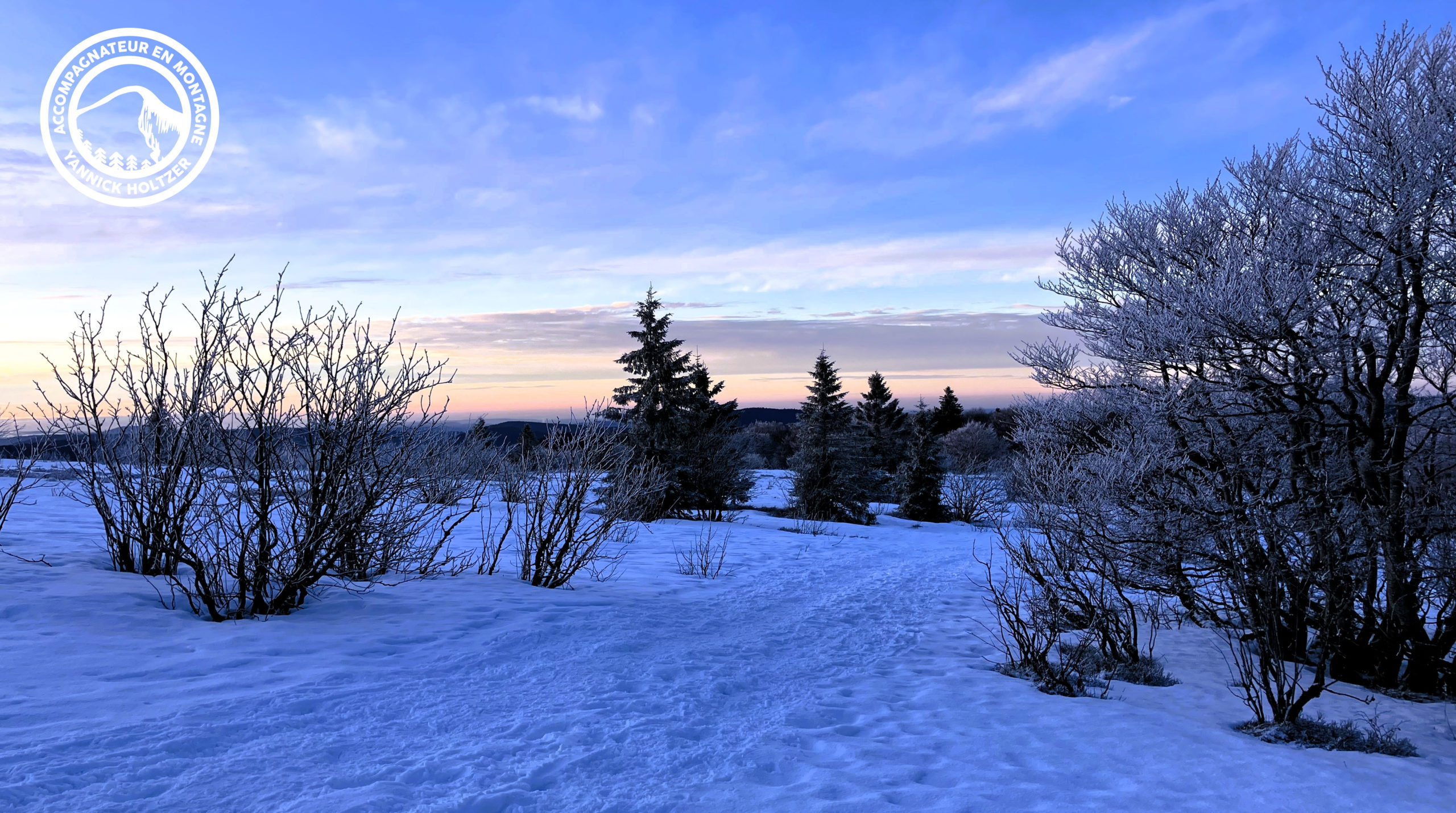 Guide Vosges Yannick Holtzer (1)