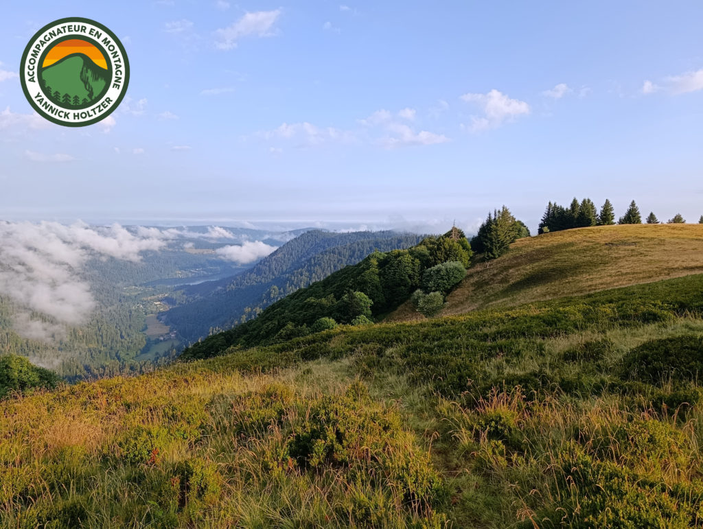 Yannick Holtzer Accompagnateur Montagne Vosges (7)