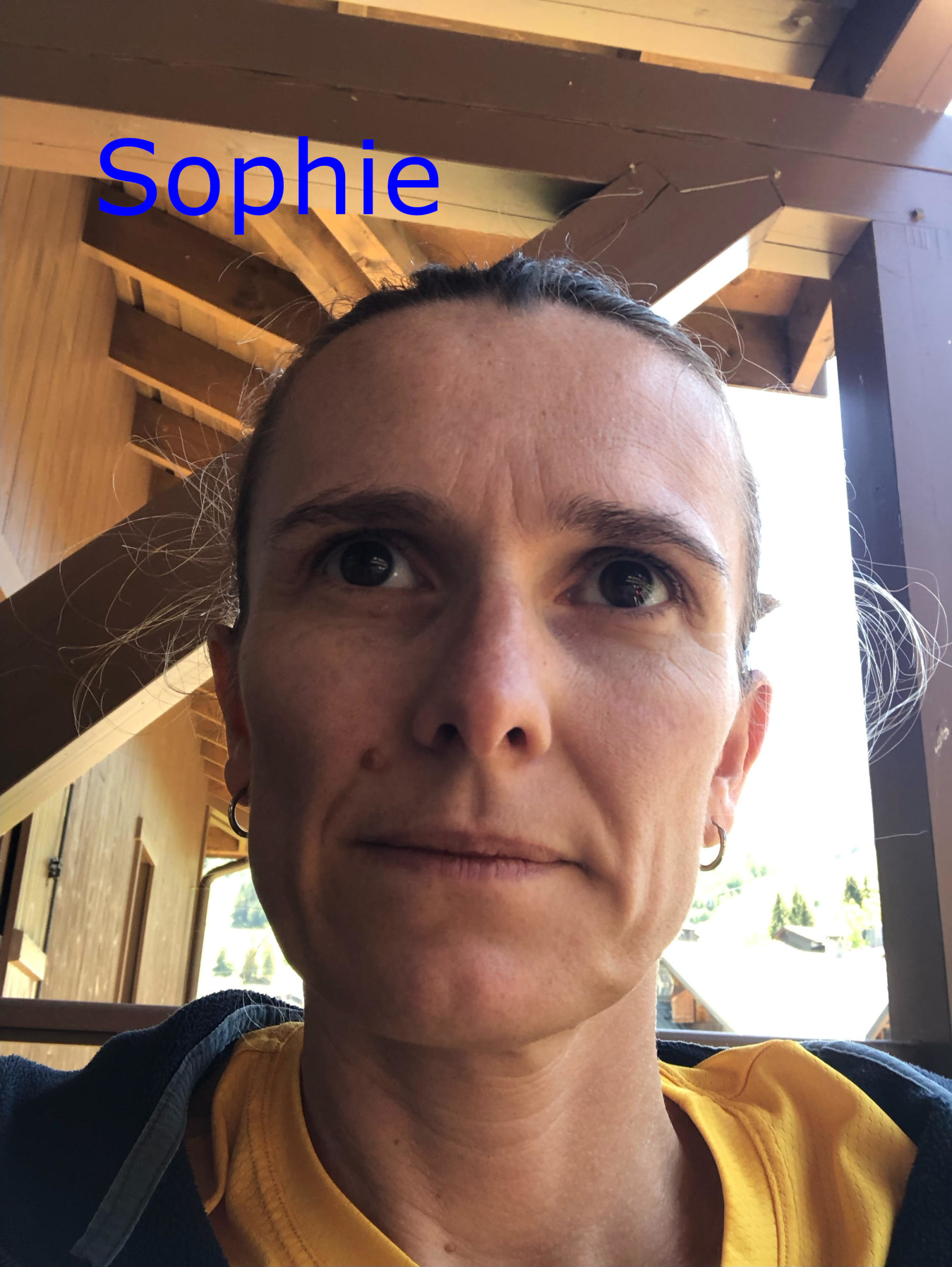 SOPHIE DELAPORTE